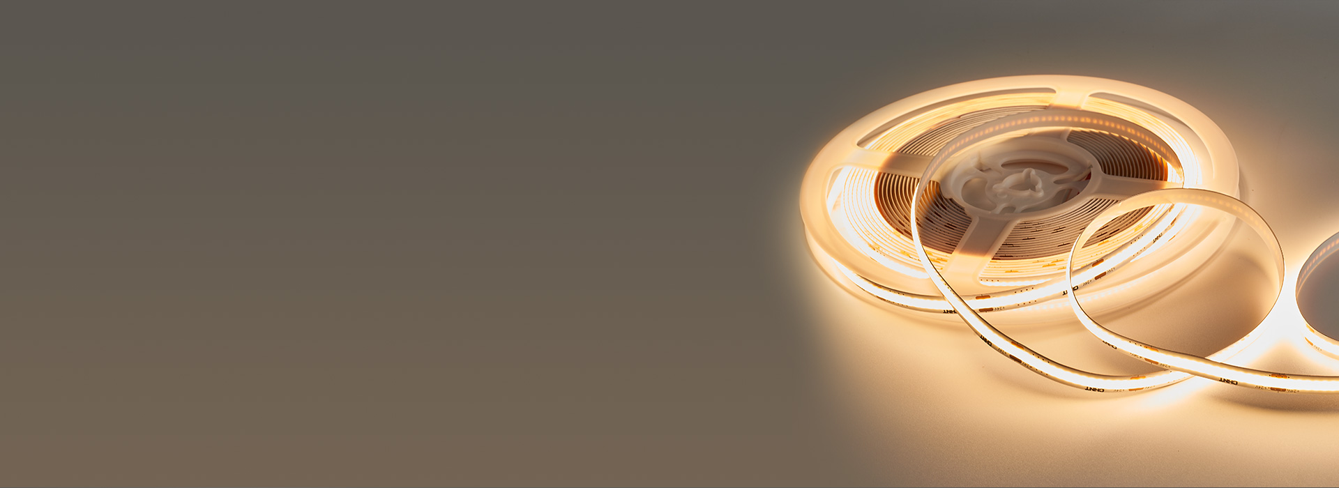 燈帶：DD42/DD43系列
 邂逅心動...