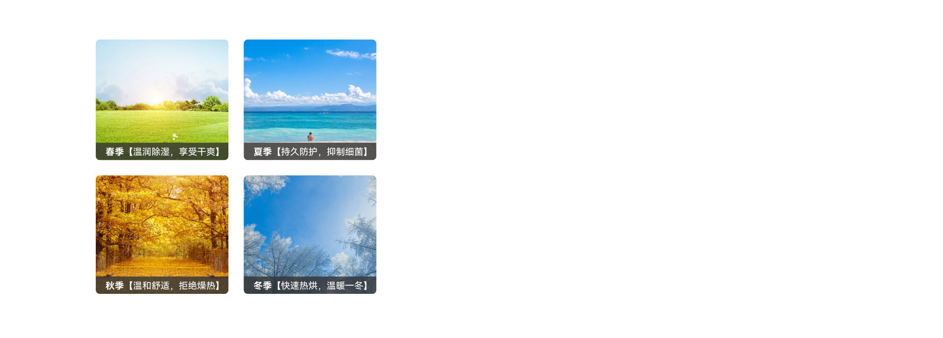 春夏秋冬都能用，陽光體驗
 一年四季，享...
