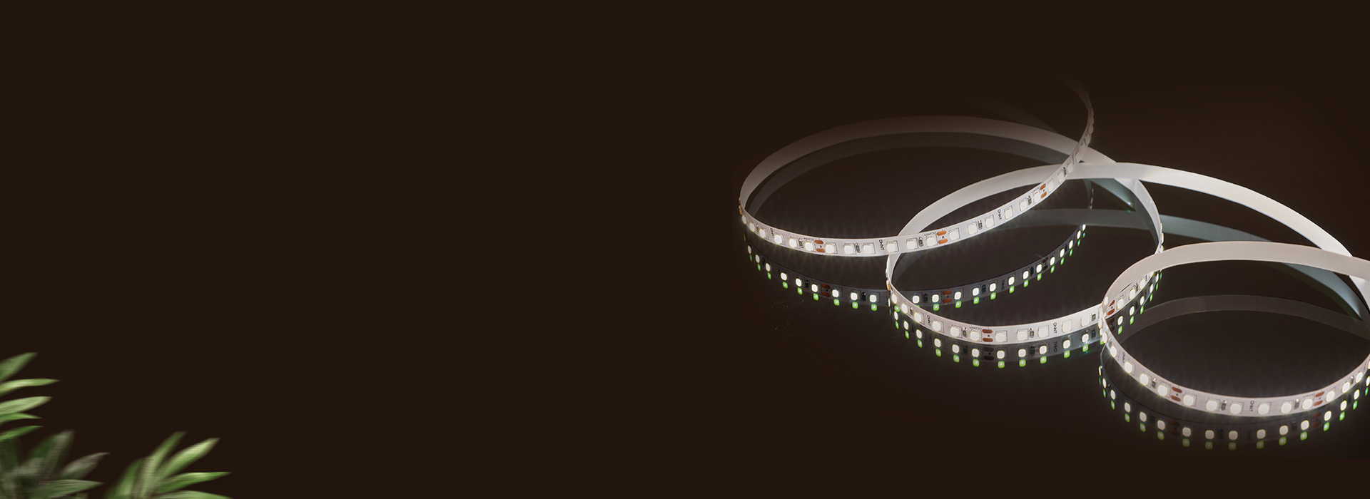 低壓燈帶：DD30A系列
 低壓安全，柔...